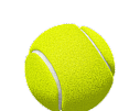 Tennis ball