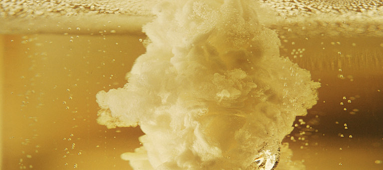Pure Malt 2